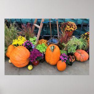 Autumn Decor