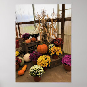 Autumn Decor