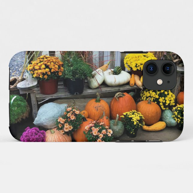 Autumn Decor Case-Mate iPhone Case (Back (Horizontal))