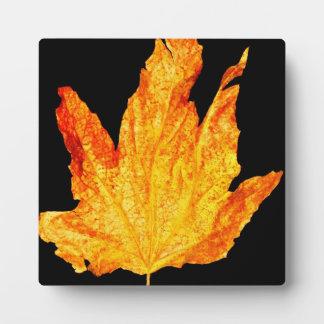 Autumn Decor Plaque