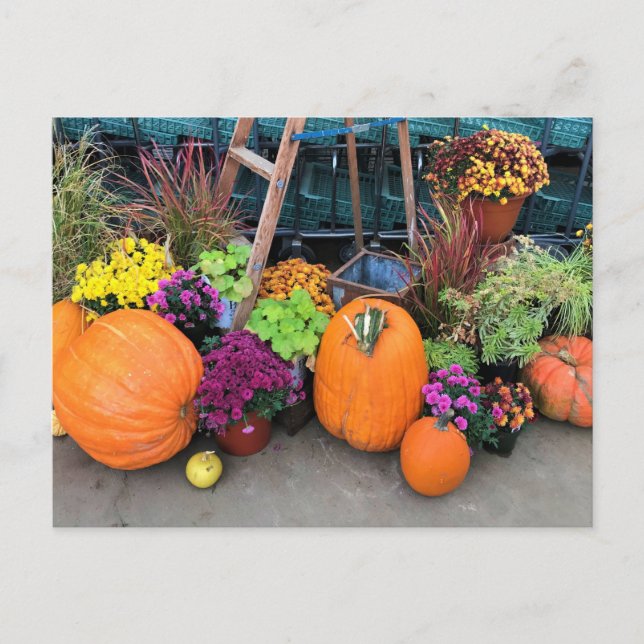 Autumn Decor Postcard (Front)