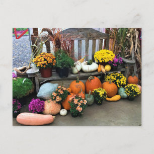 Autumn Decor  Postcard