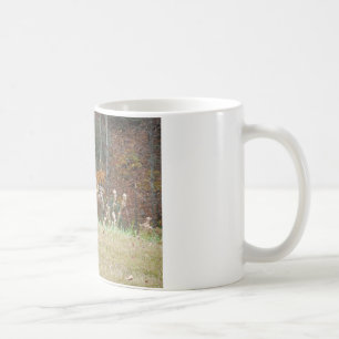Autumn Deer in Lake Arrowhead GA Coffee Mug