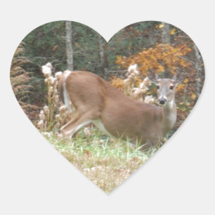 Autumn Deer in Lake Arrowhead GA Heart Sticker
