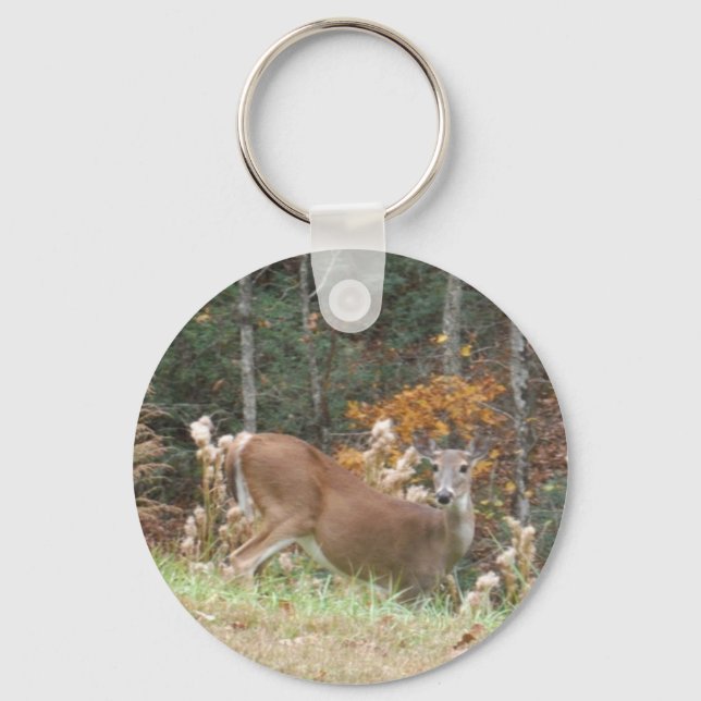 Autumn Deer in Lake Arrowhead GA Key Ring (Front)