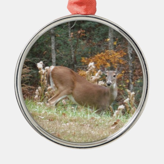 Autumn Deer in Lake Arrowhead GA Metal Tree Decoration (Front)