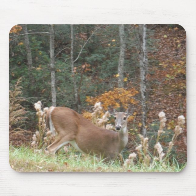 Autumn Deer in Lake Arrowhead GA Mouse Mat (Front)