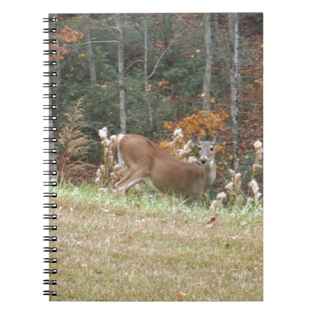 Autumn Deer in Lake Arrowhead GA Notebook (Front)