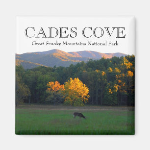 Autumn deer wildlife cades cove great smoky mtns magnet