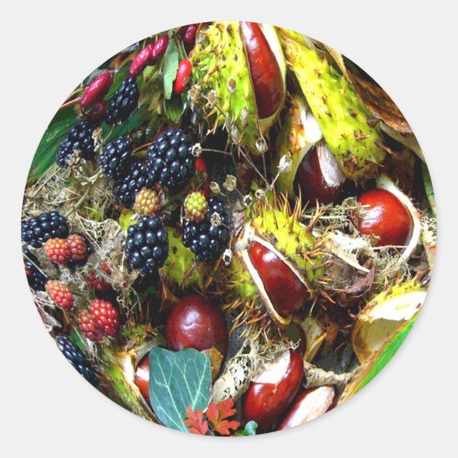 AUTUMN DELIGHTS ~ Envelope Sealers/Stickers Classic Round Sticker (Front)