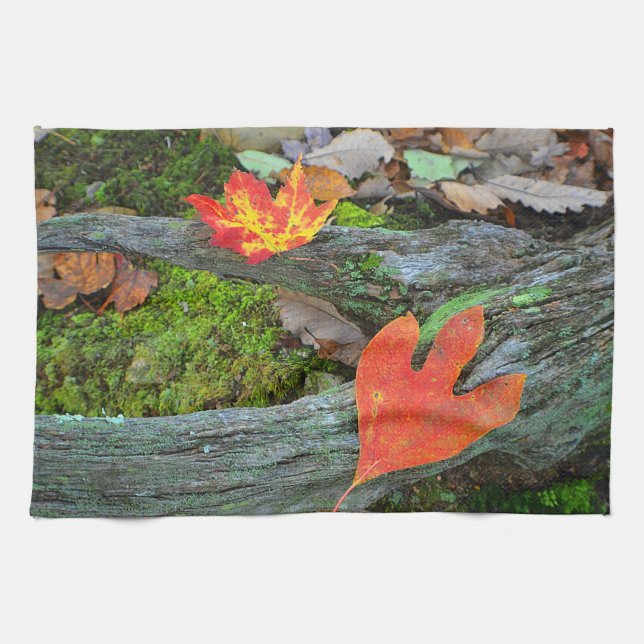 Autumn Dish Towel (Horizontal)