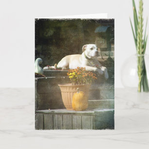 Autumn Dog Card