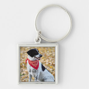 Autumn Dog Key Ring