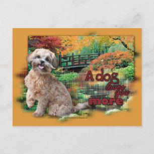 Autumn - Dog Loves You More - Shihpoo - Maggie Postcard