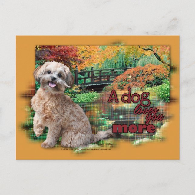 Autumn - Dog Loves You More - Shihpoo - Maggie Postcard (Front)