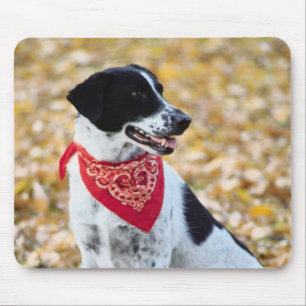Autumn Dog Mouse Mat