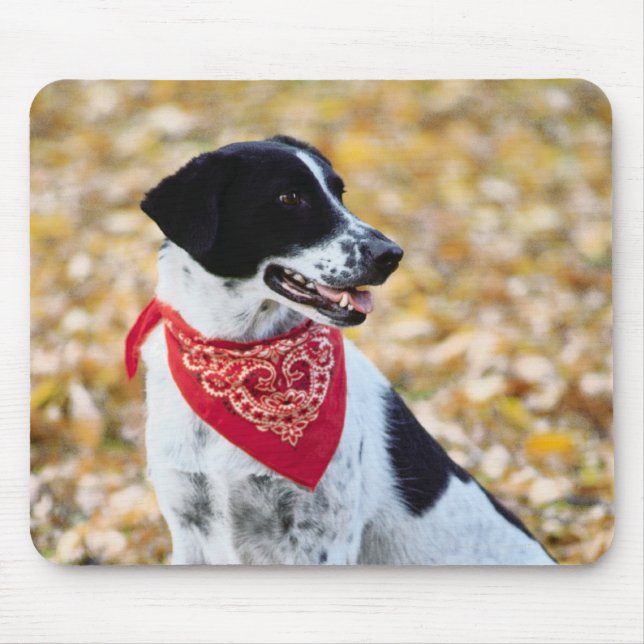 Autumn Dog Mouse Mat (Front)