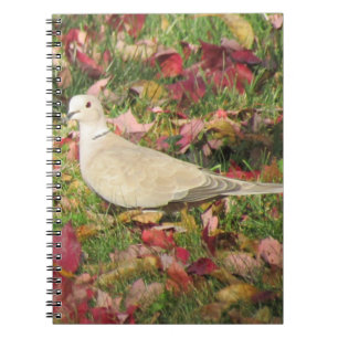 Autumn Dove Notebook