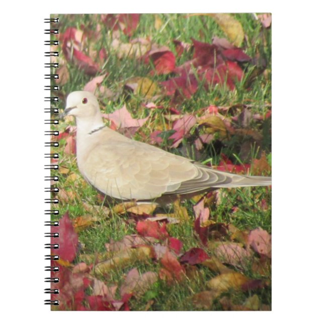 Autumn Dove Notebook (Front)