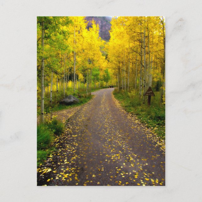 Autumn Dream Postcard (Front)
