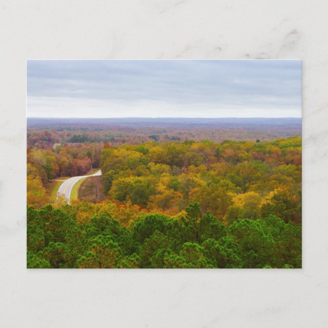 Autumn Drive Pano Postcard (Front)