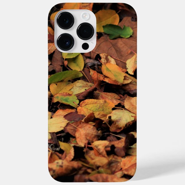 autumn, dry leaves Case-Mate iPhone case (Back)