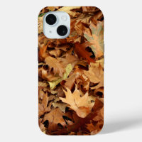 autumn, dry leaves