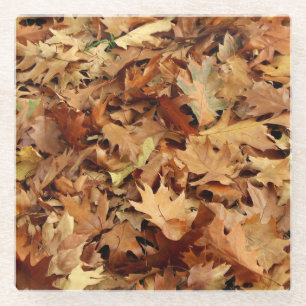 autumn, dry leaves glass coaster