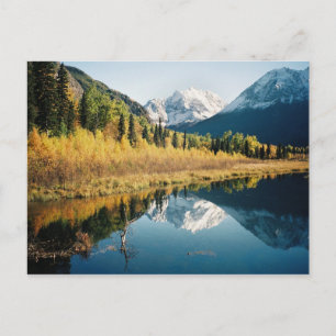 Autumn Eagle River Valley Postcard
