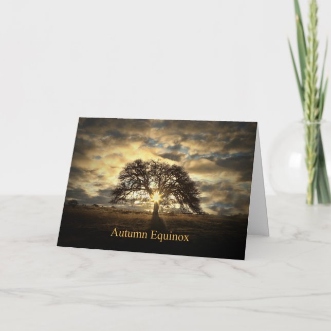Autumn Equinox Mabon Oak Tree Sun Star Card (Front)