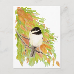 Autumn, Fall, Chickadee, Bird Nature Postcard
