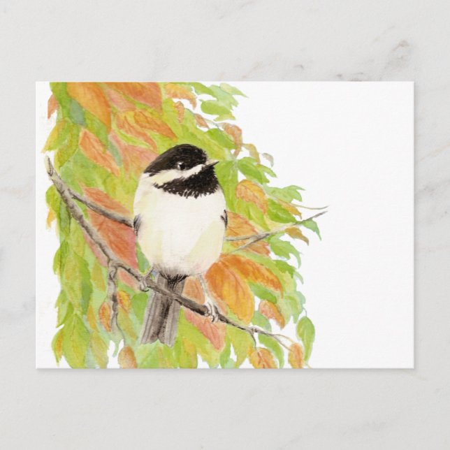 Autumn, Fall, Chickadee, Bird Nature Postcard (Front)