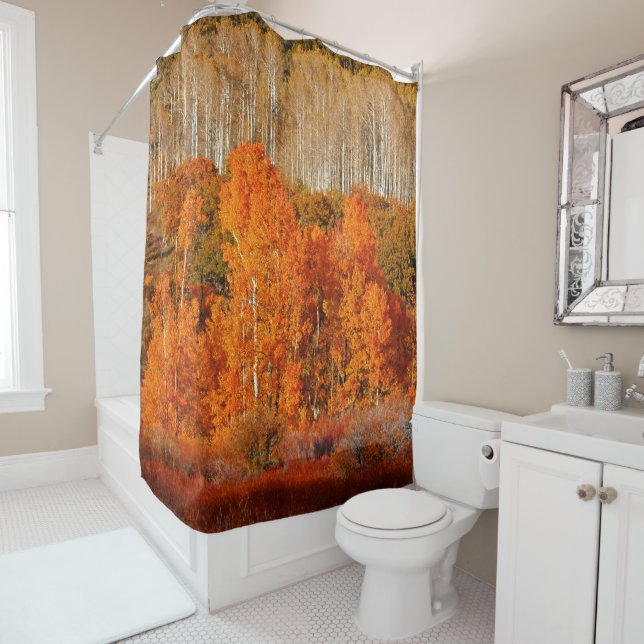 Autumn Fall Colour Aspens Kolob Zion Shower Curtai Curtain (In Situ)