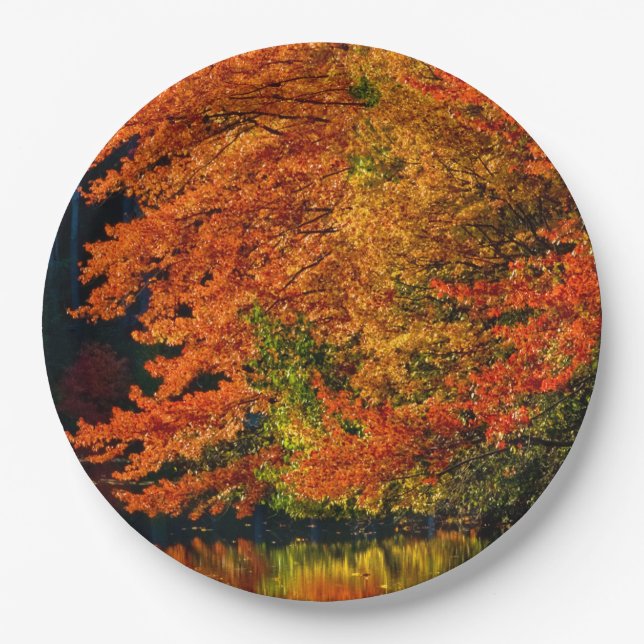 Autumn Fall Foliage Photo Colours Rustic Wedding Paper Plate (Front)
