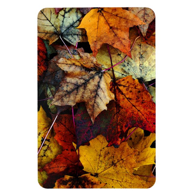 Autumn Fall Foliage Photography-Flexi Magnet (Vertical)
