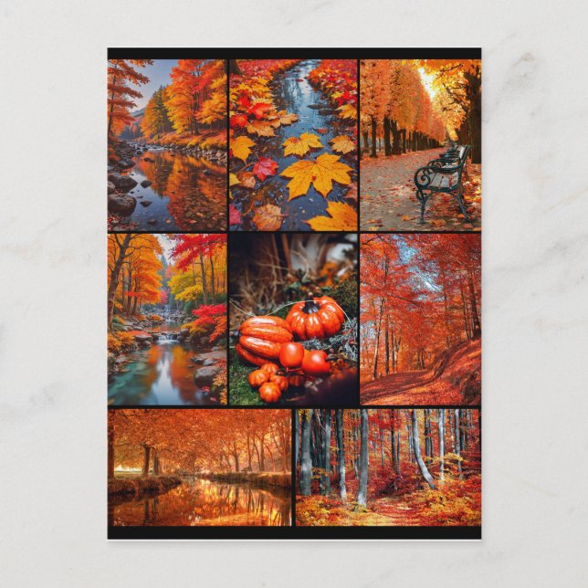 Autumn Fall Landscape Photo  Art Postcard (Front)
