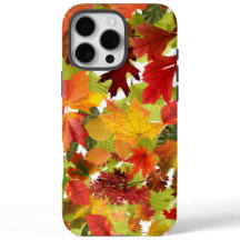 Autumn Fall Leaves