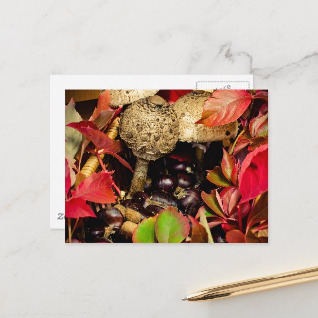 Autumn Fall leaves, chestnuts mushrooms photo Postcard (Front/Back In Situ)