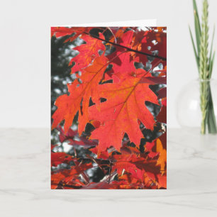 AUTUMN FALL LEAVES HELLO GREETING CARD