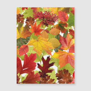 Autumn Fall Leaves Magnetic Card