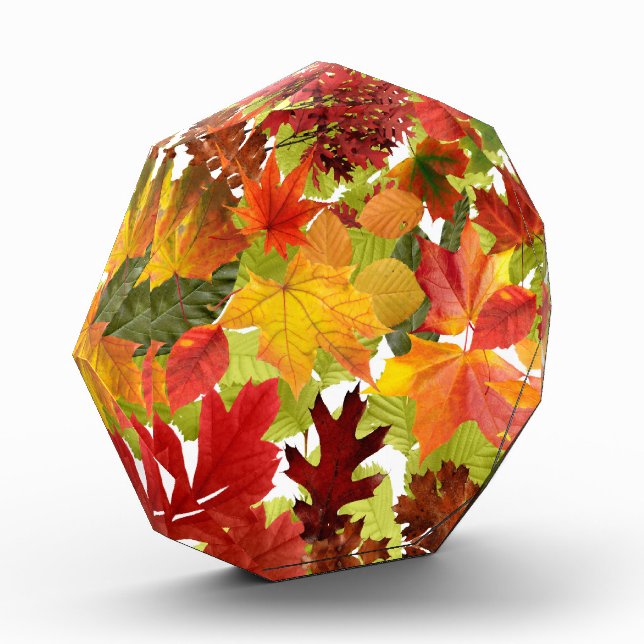 Autumn Fall Leaves Photo Block (Left)