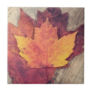 Autumn Fall Leaves Tile