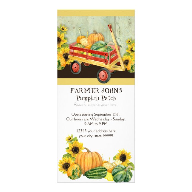 Autumn Fall Pumpkin Patch Harvest Farm Businesses Rack Card (Front)
