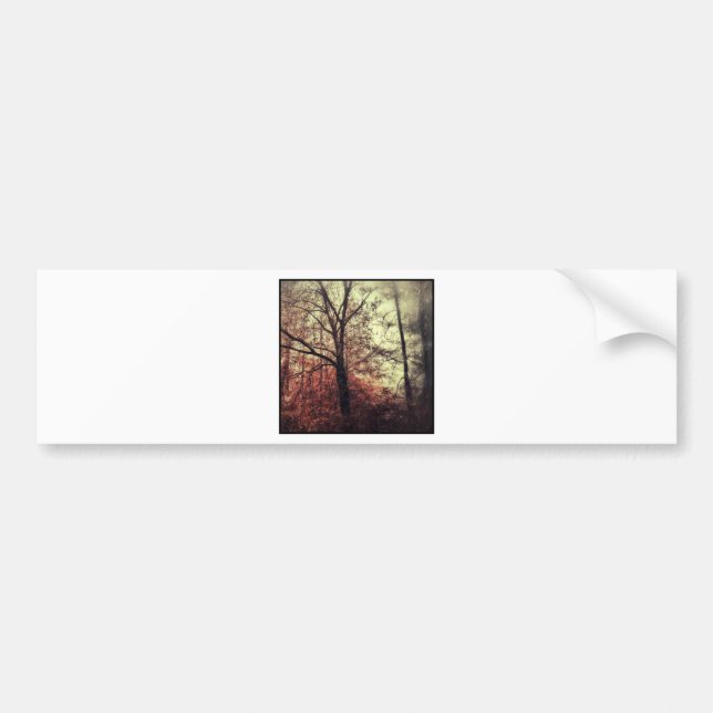 Autumn fall tree silhouettes bumper sticker (Front)