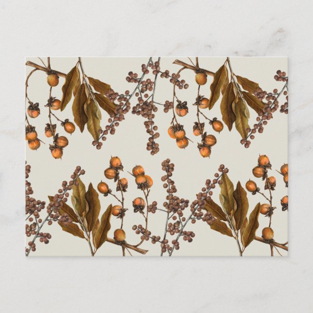 Autumn Fall Watercolor Foliage Leaves  Holiday Postcard (Front)