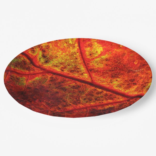 Autumn Fall Wedding Rustic Leaf Photo Close Up Paper Plate (Angled)