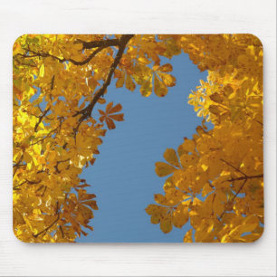 Autumn Falling Leaves Chestnut Tree Mouse Mat