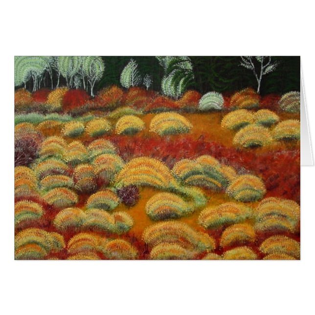 Autumn Fen Cimarron Canyon NM (Front Horizontal)