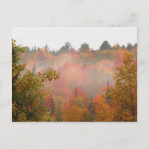 Autumn Field Adirondacks Trees Scene Landscape Postcard