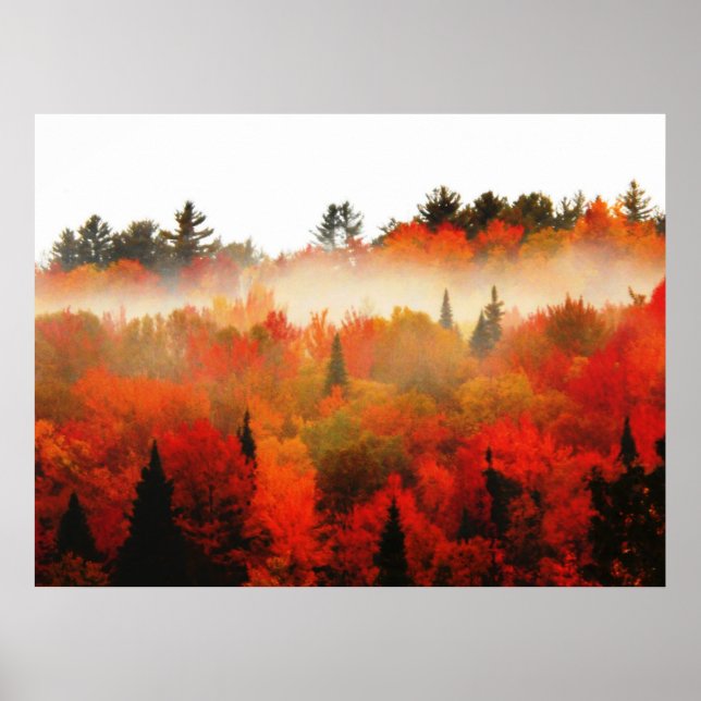 Autumn Field Adirondacks Trees Scene Landscape Poster (Front)